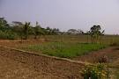 LAND FOR SALE IN NIGERIA INQUIRE NOW