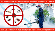 Roots Pest Control: Providing Professional Services in Canada