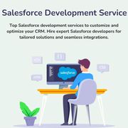 SalesForce Development Company- ProtonBits