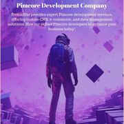 Pimcore development company- ProtonBits